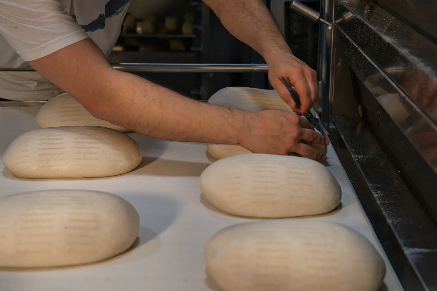A baker scoring proved sourdough with a blade before it goes into the oven.